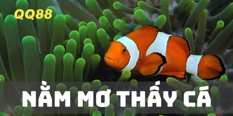 Mơ thấy cá mang nhiều ý nghĩa khác nhau