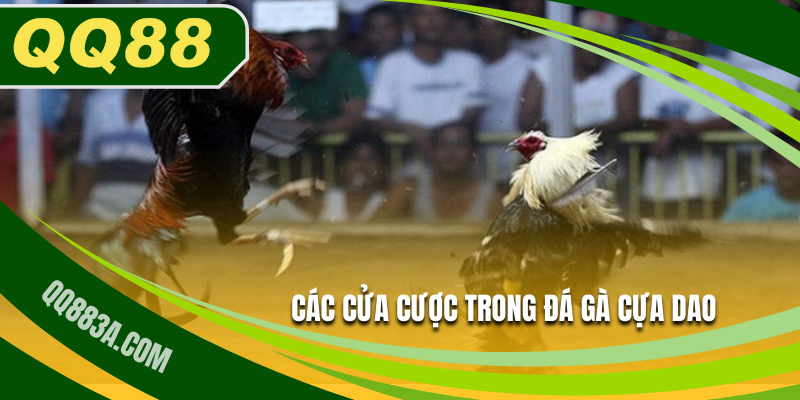 Cửa cược đá gà cựa dao phổ biến